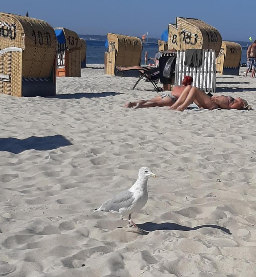 Penthouse Ferienwohnung Auszeit, Gerne Mit Hund, Wlan Inkl. Laboe Buitenkant foto